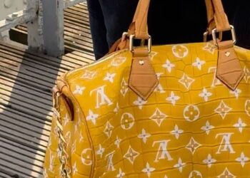 Pharrell Casually Carries $1 Million EUR Louis Vuitton Bag During Paris Fashion Week